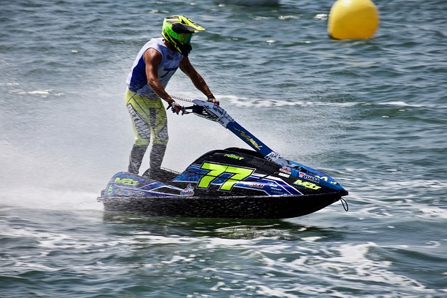 名将的出走 名将的出走